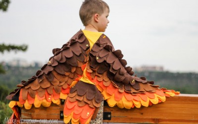 Transforming a T-shirt into a Bird Costume from make-it-your-own.com (Art, crafts & activities for kids)