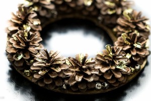 Pinecone Wreath from make-it-your-own.com (Art, crafts and activities for kids)