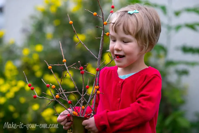 Fall Berry Branches from make-it-your-own.com (Arts, crafts & activities for kids)
